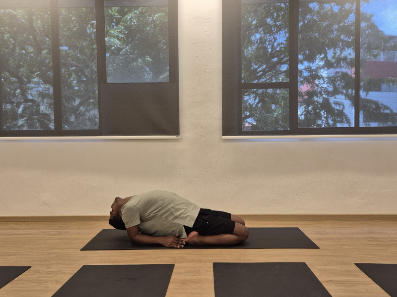 Chair Yoga 4